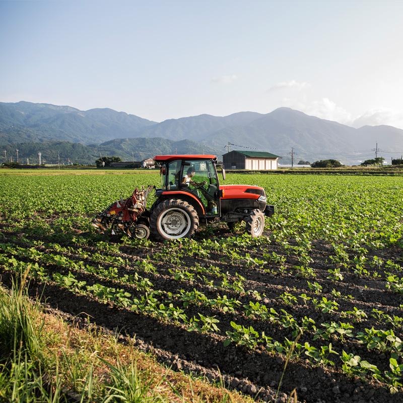 Tractor on a field