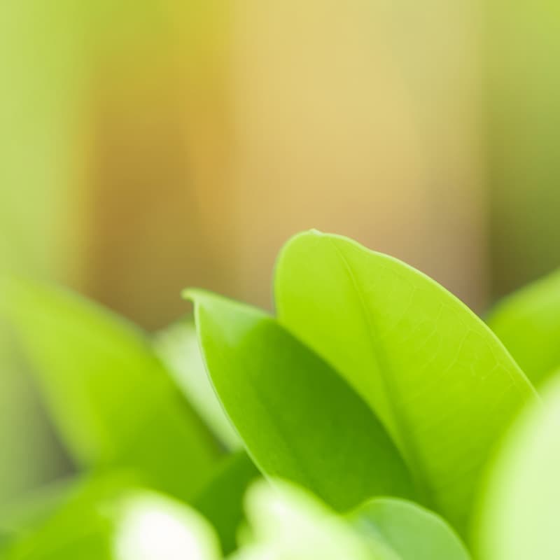 Be smart, be kind to the environment