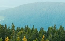 GreenLine™ remanufactured printers and MFPs