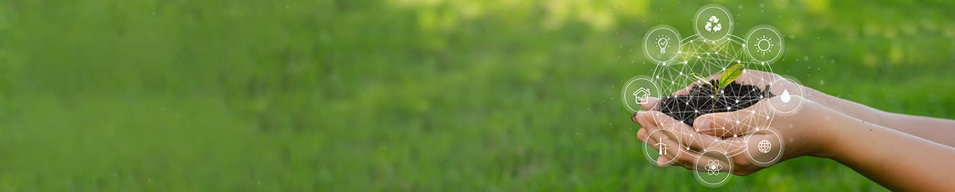 sustainable business on networked connections on green background